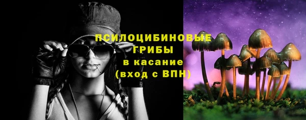 мяу мяу мука Верхний Тагил