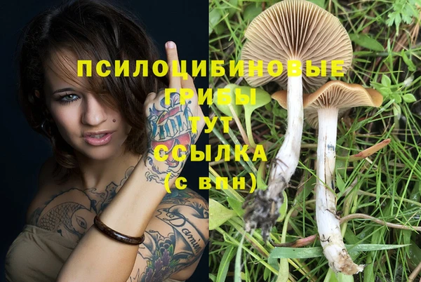 мяу мяу мука Верхний Тагил