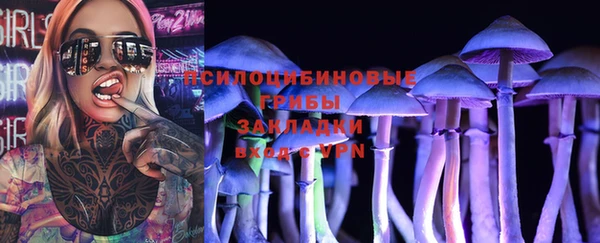 сатива Володарск